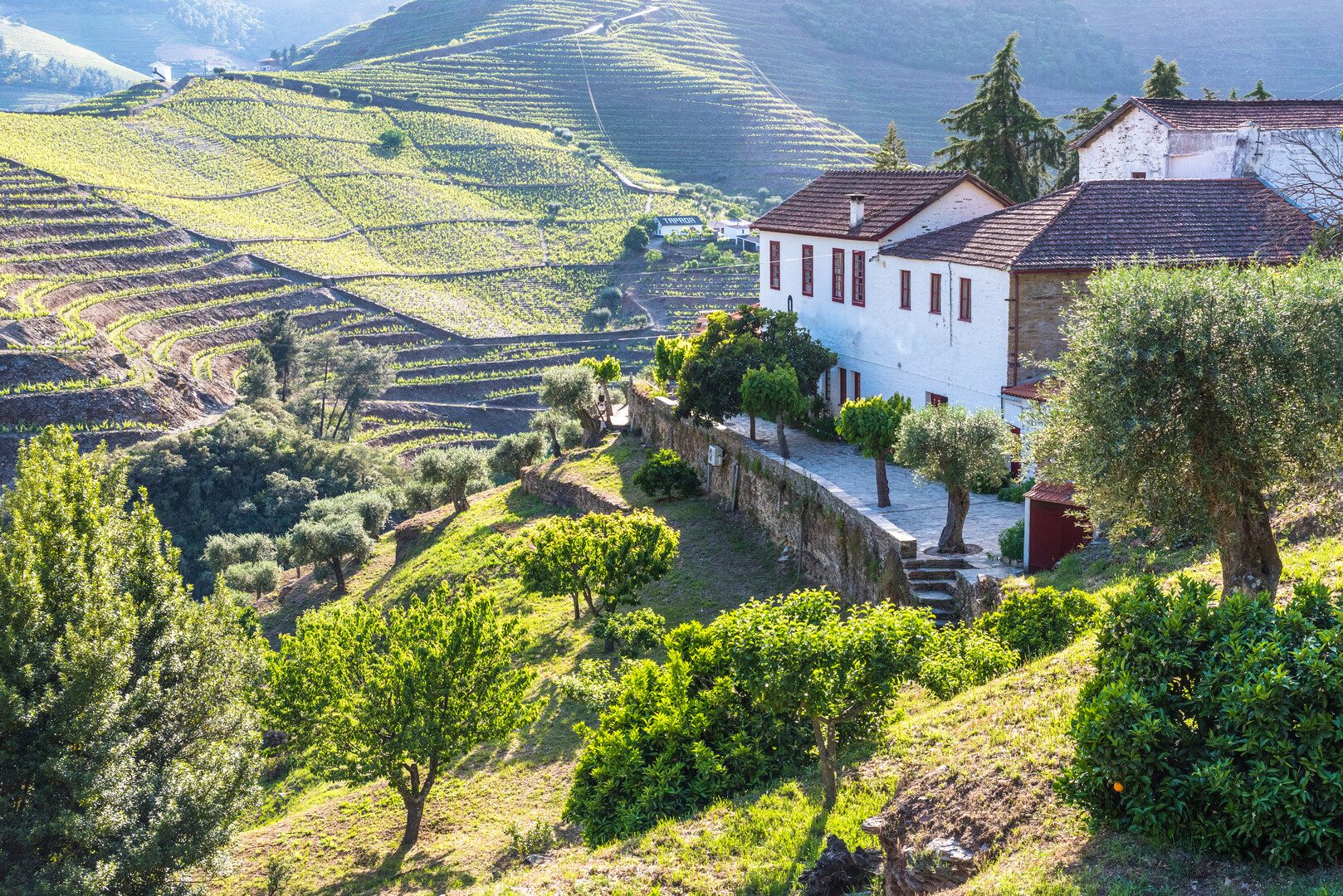 Suite Terraço — corner terrace above the Douro valley vineyards
